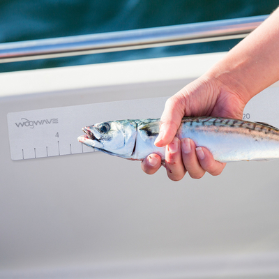 Woowave Marine EVA Foam Boat Fish Measure Ruler colore e dimensioni personalizzati per la pesca